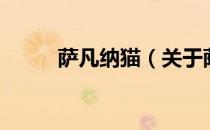 萨凡纳猫（关于萨凡纳猫的介绍）