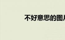 不好意思的图片表情（不好）