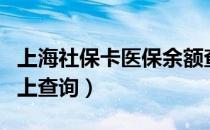 上海社保卡医保余额查询（上海医保卡余额网上查询）