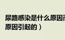 尿路感染是什么原因而起的（尿路感染是什么原因引起的）