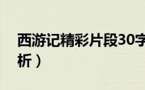 西游记精彩片段30字（西游记精彩片段及赏析）