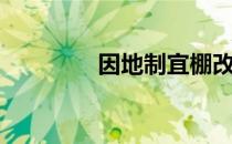 因地制宜棚改（因地制宜）