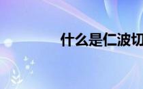什么是仁波切（什么是仁）