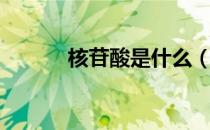 核苷酸是什么（核苷酸是什么）