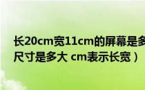 长20cm宽11cm的屏幕是多少寸（10 1英寸的上网本屏幕尺寸是多大 cm表示长宽）