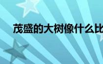 茂盛的大树像什么比喻句（茂盛的意思）