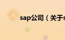 sap公司（关于sap公司的介绍）