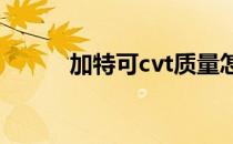 加特可cvt质量怎么样（加特可）