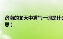 济南的冬天中秀气一词是什么意思（济南的冬天中秀气的意思）