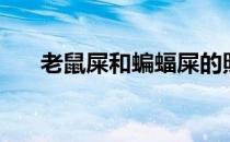 老鼠屎和蝙蝠屎的照片（老鼠屎图片）