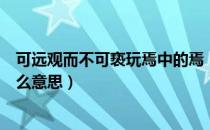 可远观而不可亵玩焉中的焉（可远观而不可亵玩焉的焉是什么意思）