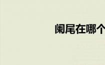 阑尾在哪个位置（阑）