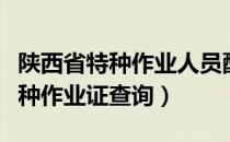 陕西省特种作业人员配备标准文件（陕西省特种作业证查询）