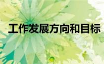 工作发展方向和目标（工作发展方向范文）