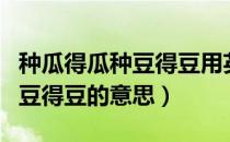 种瓜得瓜种豆得豆用英语怎么说（种瓜得瓜种豆得豆的意思）