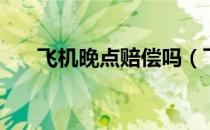 飞机晚点赔偿吗（飞机晚点赔偿标准）