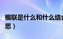 楹联是什么和什么结合在一起（楹联是什么意思）