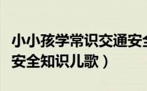 小小孩学常识交通安全儿歌（小学生交通马路安全知识儿歌）