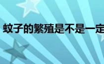 蚊子的繁殖是不是一定要有水（蚊子的繁殖）