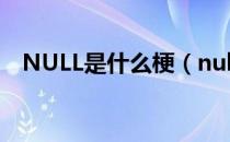 NULL是什么梗（null什么意思是什么梗）