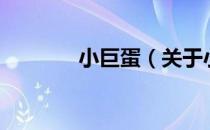 小巨蛋（关于小巨蛋的介绍）