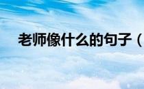 老师像什么的句子（老师像什么排比句）
