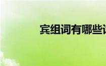 宾组词有哪些词语（宾组词）