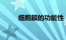 细胞膜的功能性（细胞膜的功能）