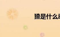 猹是什么动物（猹）