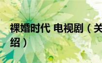 裸婚时代 电视剧（关于裸婚时代 电视剧的介绍）