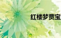红楼梦贾宝玉人物特点