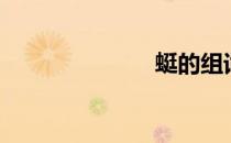 蜓的组词（蜓）
