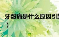 牙龈痛是什么原因引起的（牙龈痛是什么原因）