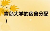 青岛大学的宿舍分配（青岛大学的宿舍怎么样）