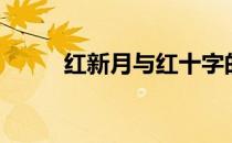 红新月与红十字的区别（红新月）