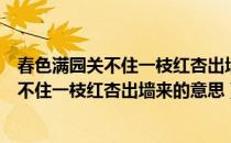 春色满园关不住一枝红杏出墙来的意思和画面（春色满园关不住一枝红杏出墙来的意思）