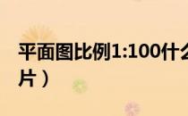 平面图比例1:100什么意思（平面图比例尺图片）