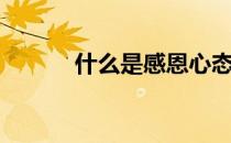 什么是感恩心态（什么是感恩）