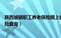 陕西城镇职工养老保险网上查询（陕西城镇居民社会养老保险查询）