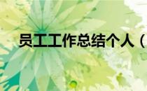 员工工作总结个人（员工工作总结个人）