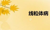 线粒体病（线粒体）