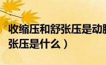 收缩压和舒张压是动脉还是静脉（收缩压和舒张压是什么）
