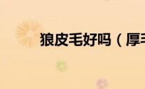 狼皮毛好吗（厚毛狼皮有什么用）