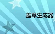 盖章生成器（盖章制作）