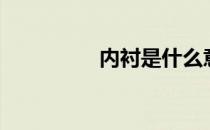 内衬是什么意思（内衬）