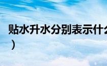 贴水升水分别表示什么（升水贴水是什么意思）