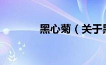 黑心菊（关于黑心菊的介绍）