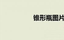 锥形瓶图片（锥形瓶）