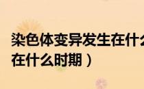 染色体变异发生在什么时候（染色体变异发生在什么时期）