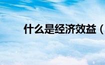 什么是经济效益（什么是经济效益）